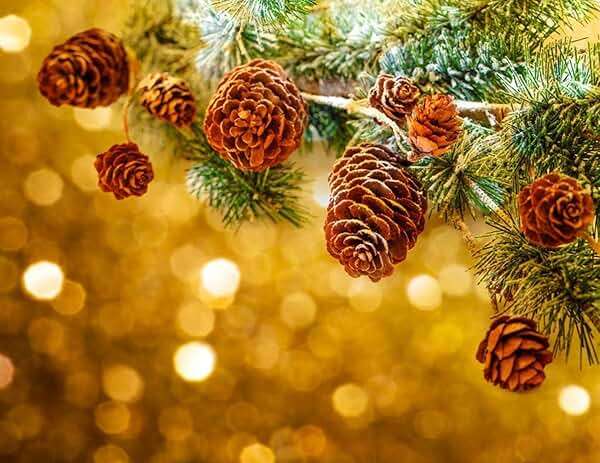 Deloky 150 Pcs Christmas Natural Mini Pine Cones- 2CM Thanksgiving Small Pinecones Ornaments Vase Fillers for DIY Crafts, Home Decorations, Fall and Christmas, Wedding Decor - Image 6