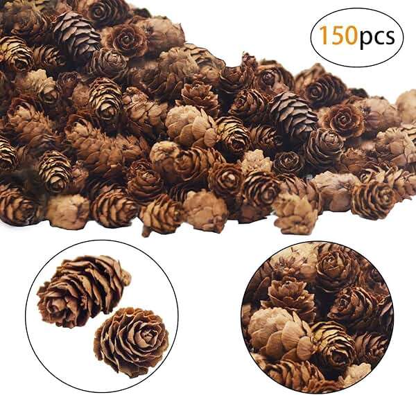 Deloky 150 Pcs Christmas Natural Mini Pine Cones- 2CM Thanksgiving Small Pinecones Ornaments Vase Fillers for DIY Crafts, Home Decorations, Fall and Christmas, Wedding Decor - Image 8