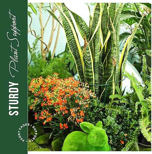 LEOBRO Plant Support Stakes, 4 PCS Plant Stakes, Plant Support, Peony Cages and Supports, Garden Stakes, Plant Stakes for Indoor Outdoor Plants, Hydrangea Support Cage, 10" W x 15.8" H - Image 5