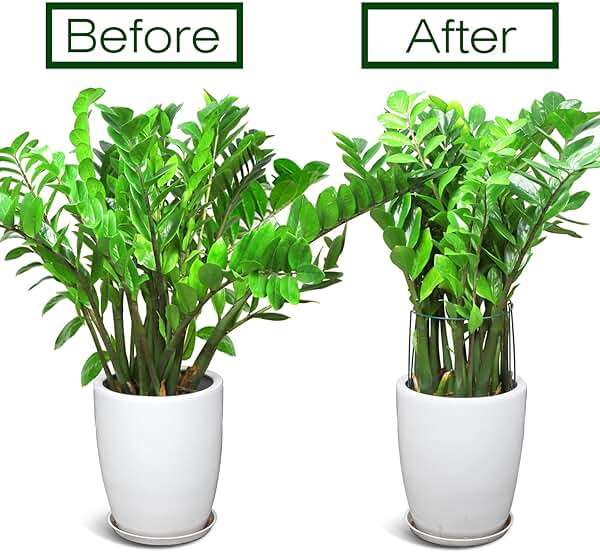 LEOBRO Plant Support Stakes, 4 PCS Plant Stakes, Plant Support, Peony Cages and Supports, Garden Stakes, Plant Stakes for Indoor Outdoor Plants, Hydrangea Support Cage, 10" W x 15.8" H - Image 6