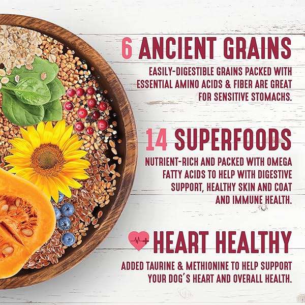 Earthborn Holistic Venture Unrefined Roasted Rabbit with Ancient Grains & Superfoods Dry Dog & Puppy Food, 4 lb. - Image 4