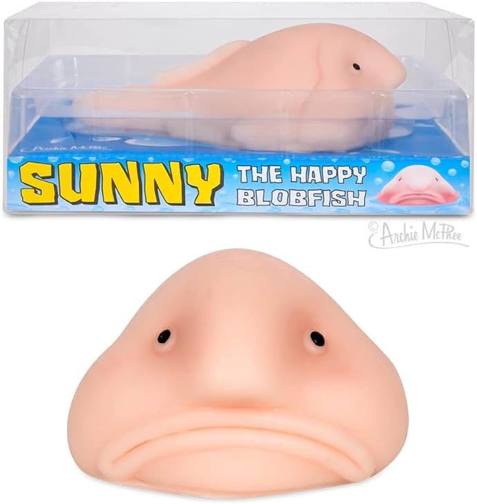 Accoutrements Sunny The Blobfish - Novelty Toy- Squishy Toy - Product Image
