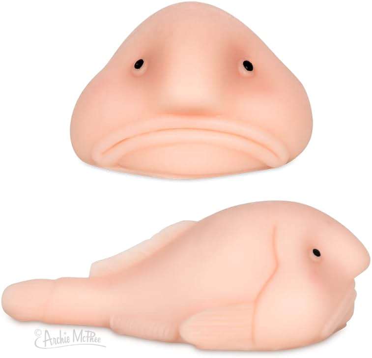 Accoutrements Sunny The Blobfish - Novelty Toy- Squishy Toy - Image 3
