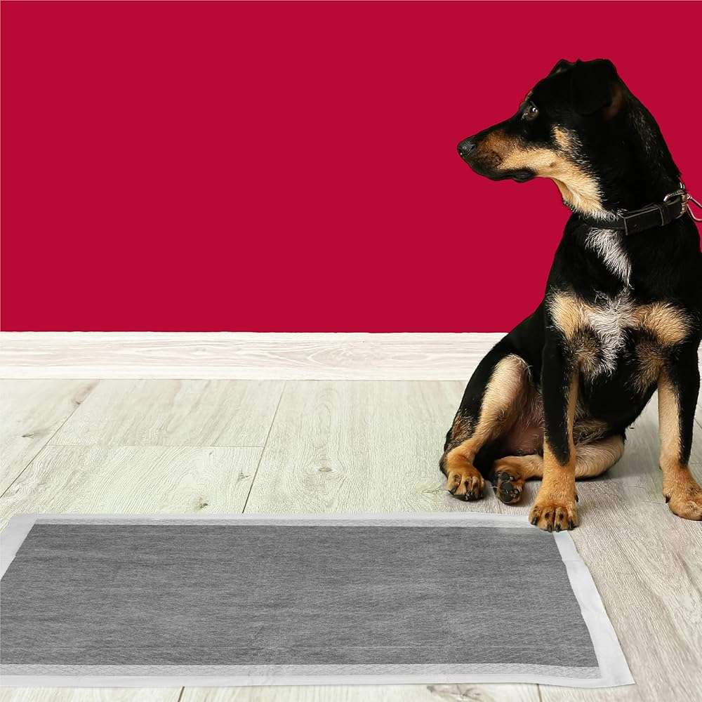 Nature's Miracle P-98235 NM Advanced Training Pads 4/25 CT - Image 6
