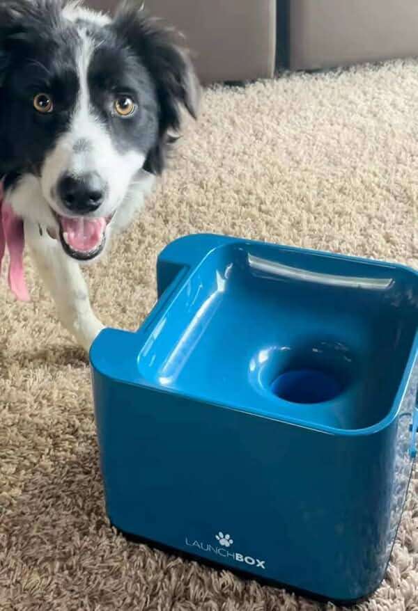 IDOGMATE Dog Ball Launcher, MIDI Rechargeable Automatic Pet Ball Thrower Interactive Ball Fetch Machine with 3 Balls - Image 2