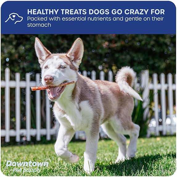 Downtown Pet Supply USA-Made 12-inch Bully Sticks for Dogs, 1 LB - No Hide Dog Chews Long Lasting and Non-Splintering - Nutrient-Rich, Single Ingredient and Odor Free Bully Sticks for Dogs - Image 4