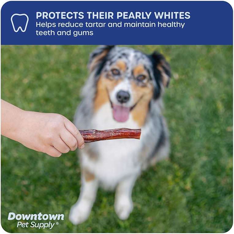 Downtown Pet Supply USA-Made 12-inch Bully Sticks for Dogs, 1 LB - No Hide Dog Chews Long Lasting and Non-Splintering - Nutrient-Rich, Single Ingredient and Odor Free Bully Sticks for Dogs - Image 6