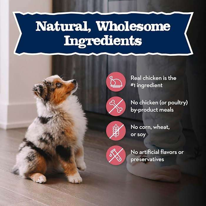 Blue Buffalo Baby Blue Natural Small Breed Puppy Dry Dog Food, Healthy Growth Formula with DHA, Chicken and Oatmeal Recipe, 4-lb Bag - Image 6