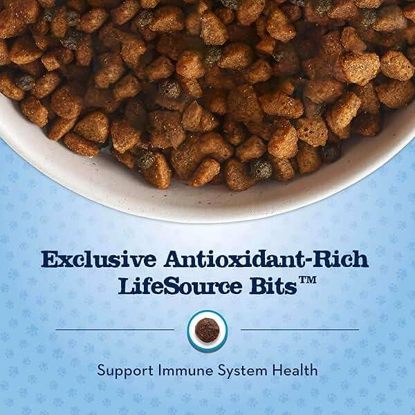 Blue Buffalo Baby Blue Natural Small Breed Puppy Dry Dog Food, Healthy Growth Formula with DHA, Chicken and Oatmeal Recipe, 4-lb Bag - Image 7