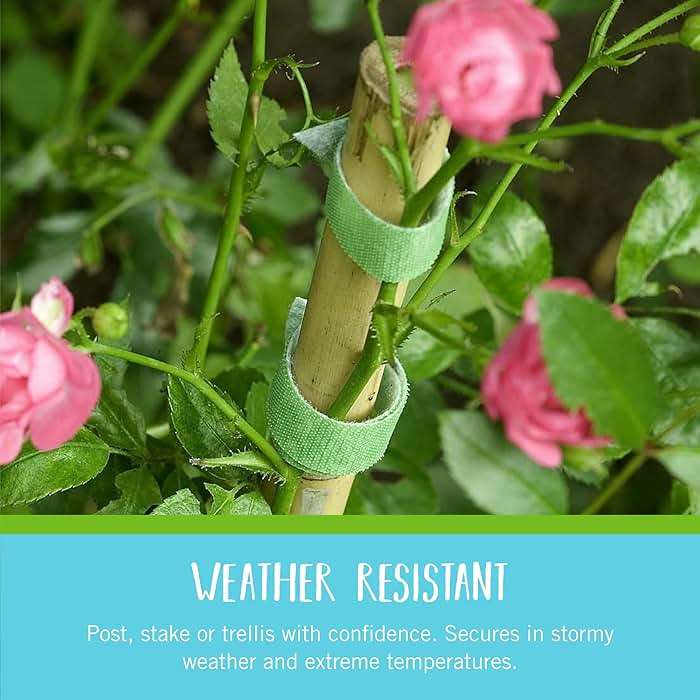 VELCRO Brand VEL-30071-USA ONE-WRAP Garden Ties | Plant Supports for Effective Growing | Strong Grips are Reusable and Adjustable | Cut-to-Length, 50 ft x 1/2 in, Green-Recycled Plastic - Image 3