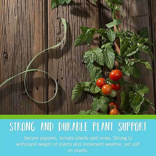 VELCRO Brand VEL-30071-USA ONE-WRAP Garden Ties | Plant Supports for Effective Growing | Strong Grips are Reusable and Adjustable | Cut-to-Length, 50 ft x 1/2 in, Green-Recycled Plastic - Image 4