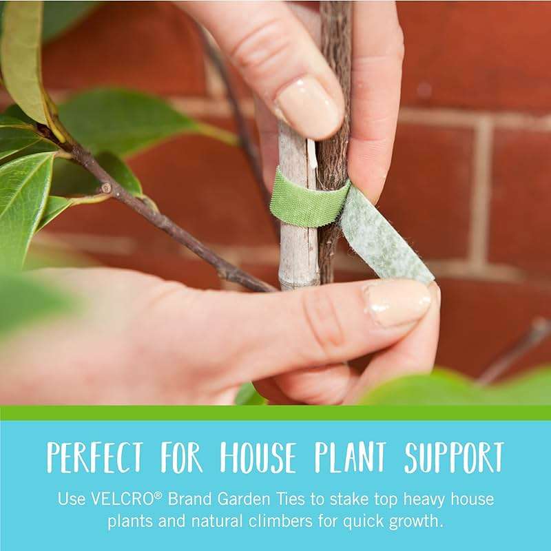 VELCRO Brand VEL-30071-USA ONE-WRAP Garden Ties | Plant Supports for Effective Growing | Strong Grips are Reusable and Adjustable | Cut-to-Length, 50 ft x 1/2 in, Green-Recycled Plastic - Image 5