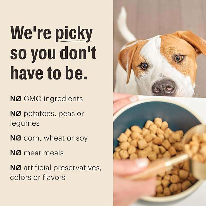 The Honest Kitchen Whole Food Clusters Whole Grain Chicken & Oat Dry Dog Food, 5 lb Bag - Image 3