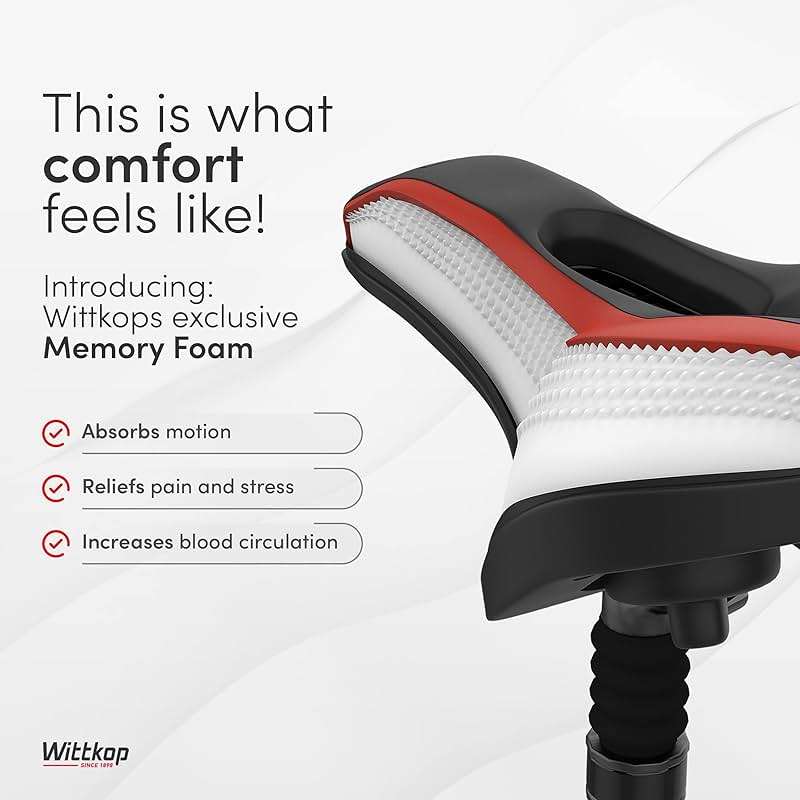 Wittkop Bike Seat I Bicycle Seat for Men and Women, Waterproof Bike Saddle with Innovative 5-Zone-Concept I Exercise Bike Seat for BMX, MTB & Road - Image 3