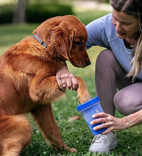 Dexas MudBuster Medium Dog Paw Cleaner, Pro Blue, Fits 1.5"-2.5" Wide Paws, Gentle Silicone Bristles for Quick, Easy Cleaning - Image 5