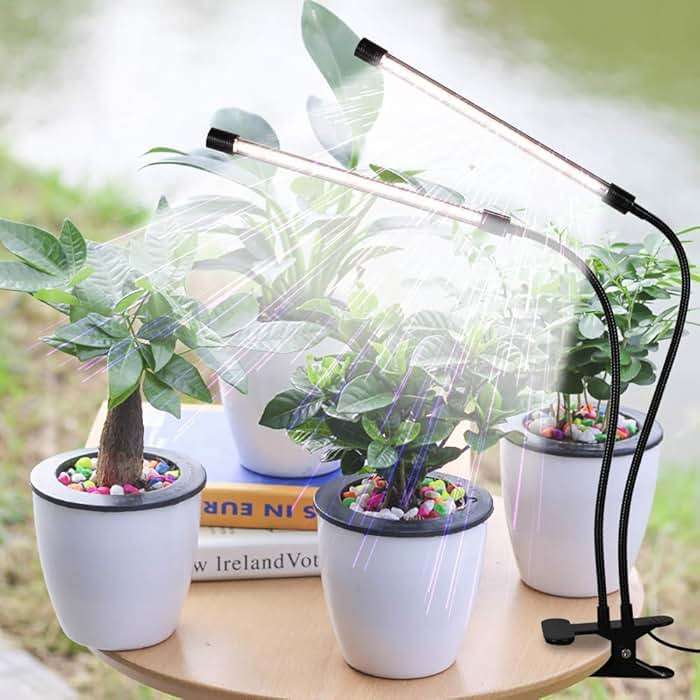 GooingTop LED Grow Light,6000K Full Spectrum Clip Plant Growing Lamp with White Red LEDs for Indoor Plants,5-Level Dimmable,Auto On Off Timing 4 8 12Hrs - Image 3