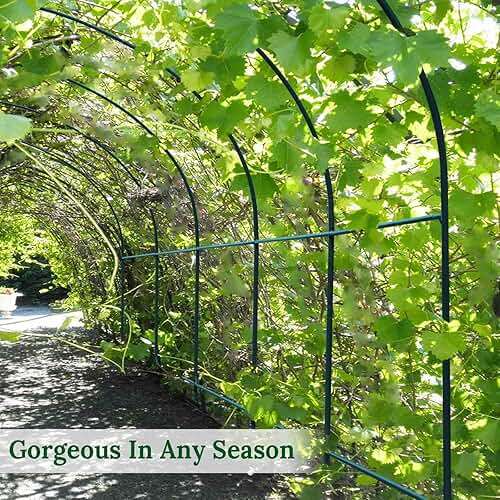 Multi-Size Large Garden Support Arch Frame Climbing Plant Arch Arbor for Flowers/Fruits/Vegetables (6.5ft x 7ft x 7.2ft) - Image 6