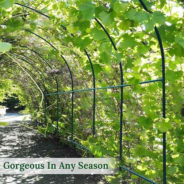 Multi-Size Large Garden Support Arch Frame Climbing Plant Arch Arbor for Flowers/Fruits/Vegetables (8.2ft x 7ft x 7.2ft) - Image 4