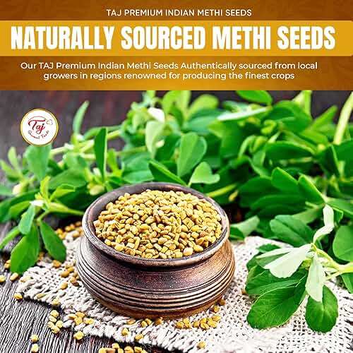 TAJ Premium Indian Methi Seeds, Fenugreek Seeds, Trigonella foenum graecum, (14 Ounce) - Image 3