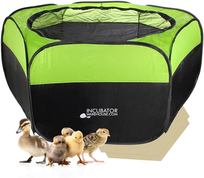 Incubator Warehouse Insta Brooderβ’ Enclosed Brooder Pen for Hatchlings - Product Image