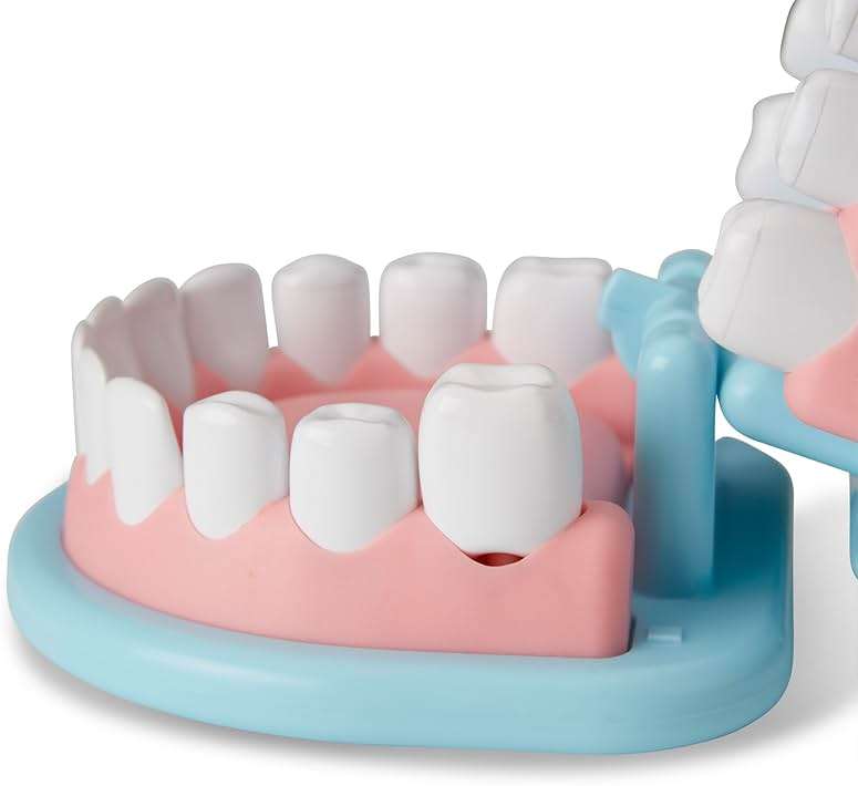 Melissa & Doug Super Smile Dentist Play Set, 25-Piece Dentist Kit with Oversized Teeth, Large Tools & Accessories, Kids Toys for Girls & Boys 3+ - Image 4