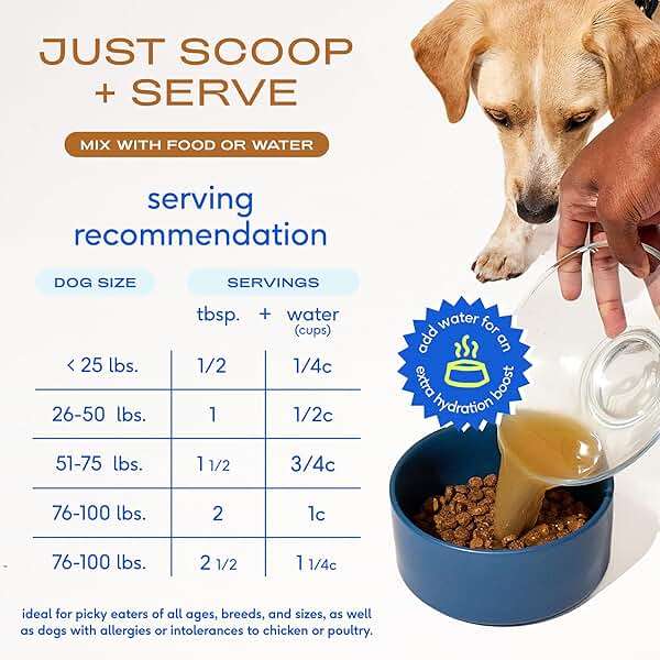 Native Pet Bone Broth for Dogs - Made with Real Beef Bone Broth, Dog Food Toppers for Picky Eaters - Provides Extra Hydration & Nutrition for Joint Strength, Immunity & Heart Health-48 Scoops - Image 6