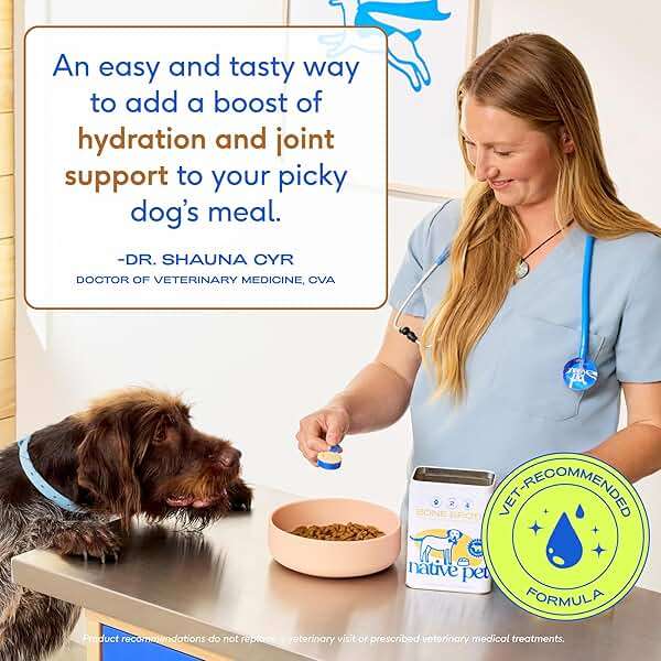 Native Pet Bone Broth for Dogs - Made with Real Beef Bone Broth, Dog Food Toppers for Picky Eaters - Provides Extra Hydration & Nutrition for Joint Strength, Immunity & Heart Health-48 Scoops - Image 7