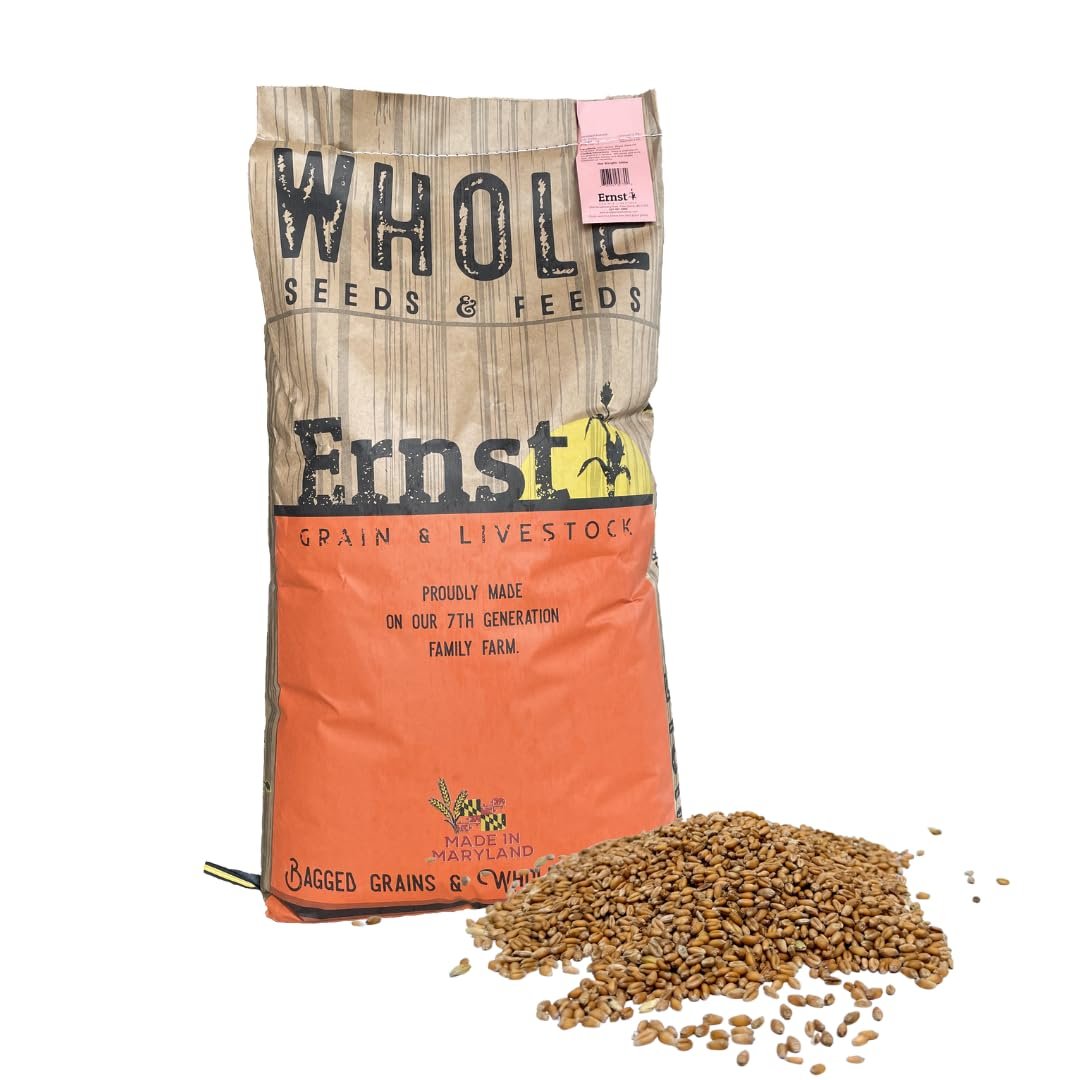 Soft Red Wheat Berries – Non‑GMO Feed Grade – 46 LB Bulk Bag – Ideal for Livestock & Poultry Feed – Grown by Ernst Grain & Livestock (Family Farm) - Product Image