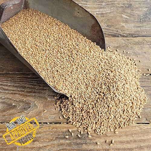 Soft Red Wheat Berries – Non‑GMO Feed Grade – 46 LB Bulk Bag – Ideal for Livestock & Poultry Feed – Grown by Ernst Grain & Livestock (Family Farm) - Image 2