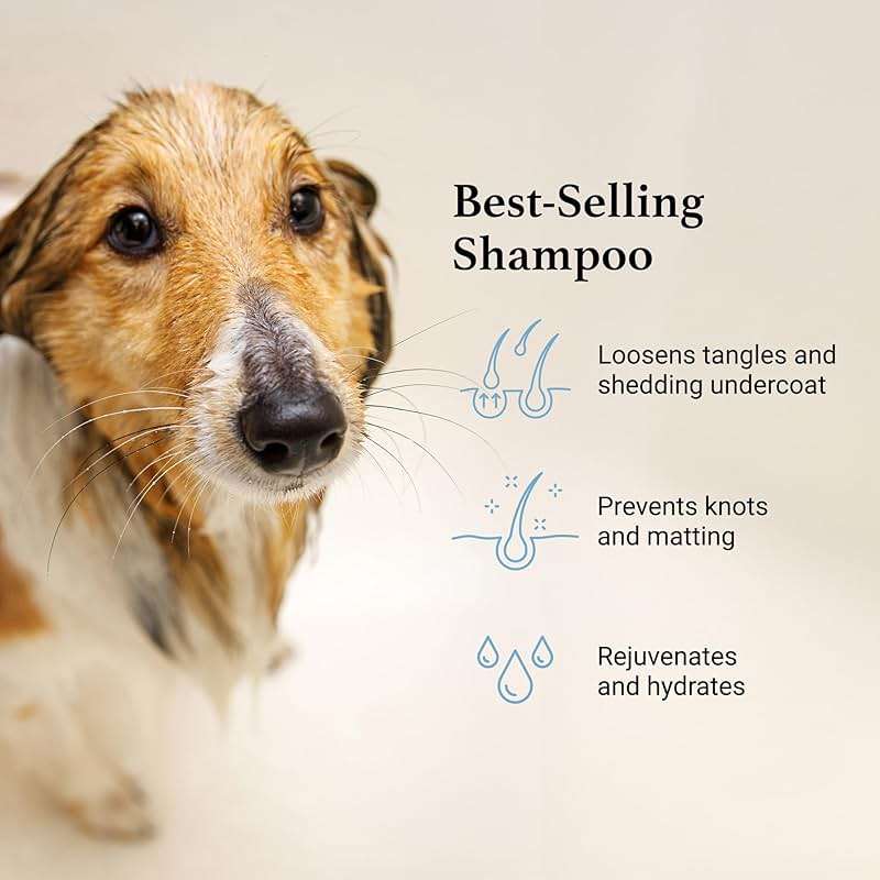 iGroom Deshedding & Detangling Dog Shampoo, Luxury Pet Beauty Care, Loosen Tangles + Unwanted Undercoat, Adds Shine + Volume, Made in USA (1 GAL) - Image 3