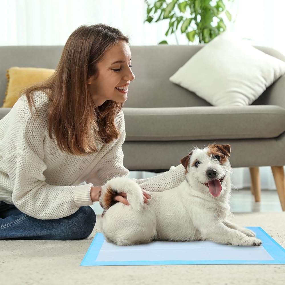 FluffyDream Super Absorbent Waterproof Dog and Puppy Pet Training Pad, Housebreaking Pet Pad,Blue (17.6"x23.6" (50PCS)) - Image 2