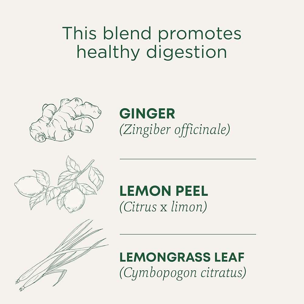 Traditional Medicinals Organic Lemon Ginger Tea, 1.13 Oz, 16 Count - Image 3