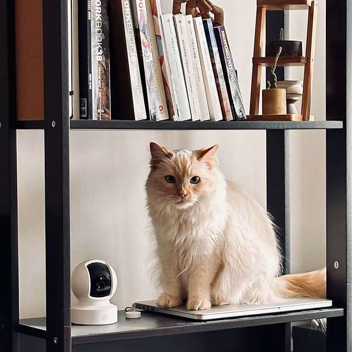 Kasa Indoor Pan/Tilt Smart Security Camera, 1080p HD Dog-Camera,2.4GHz with Night Vision,Motion Detection for Baby and Pet Monitor, Cloud & SD Card Storage, Works with Alexa& Google Home (EC70), White - Image 6