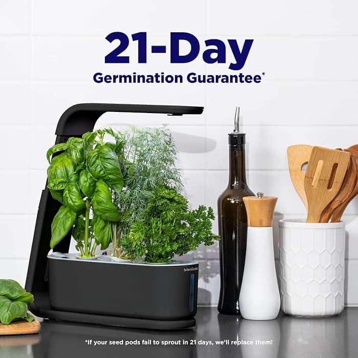 AeroGarden Sprout - Indoor Garden with LED Grow Light, Black - Image 3