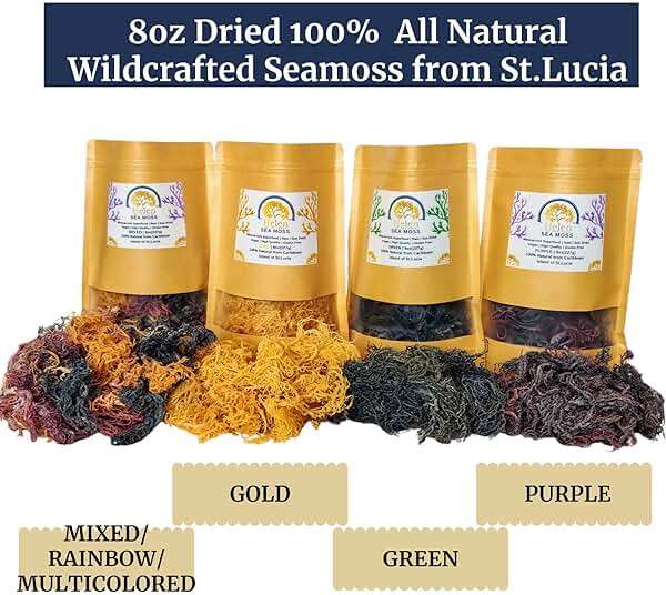 Wildcrafted Sea Moss | Gold - Purple - Green - Mixed | 100% Natural Irish Moss from St.Lucia | Mineral-Rich Superfood | 8oz Sun-Dried Moss | NO Preservatives NO Chemicals - Image 3