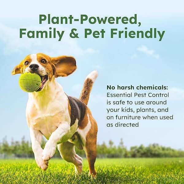 BugMD Pest Control Essential Oil Concentrate (3.7 oz, 2 Pack) - Plant Powered Bug Spray Quick Kills Flies, Ants, Roaches, Mosquitoes, and More - Image 2