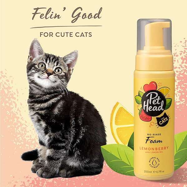 Pet Head Felin' Good Cat No Rinse Foam | Fruity Scent with Aloe Vera | Dry Cat Shampoo for Smelly Cats | Vegan | Lick-Safe | Gentle Formula for Kittens | Made in USA | 6.7 fl. oz. - Image 3