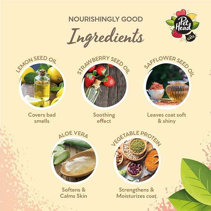 Pet Head Felin' Good Cat No Rinse Foam | Fruity Scent with Aloe Vera | Dry Cat Shampoo for Smelly Cats | Vegan | Lick-Safe | Gentle Formula for Kittens | Made in USA | 6.7 fl. oz. - Image 4