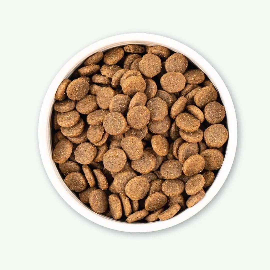 Earthborn Holistic Great Plains Feast with Bison Grain-Free Natural Dry Dog Food, 25 lb - Image 5