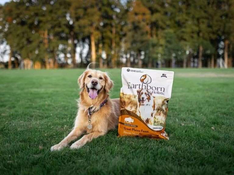Earthborn Holistic Great Plains Feast with Bison Grain-Free Natural Dry Dog Food, 25 lb - Image 6