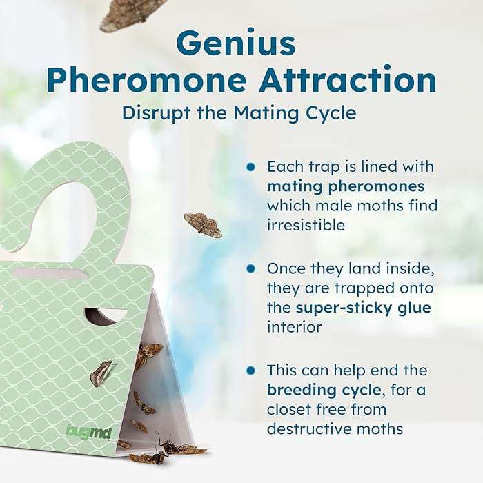 BugMD Clothes & Pantry Moth Traps (6 Count) – Sticky Glue Pheromone-Based Repellent for Closets, Cabinets & Wardrobes – Non-Toxic - Green - Image 7