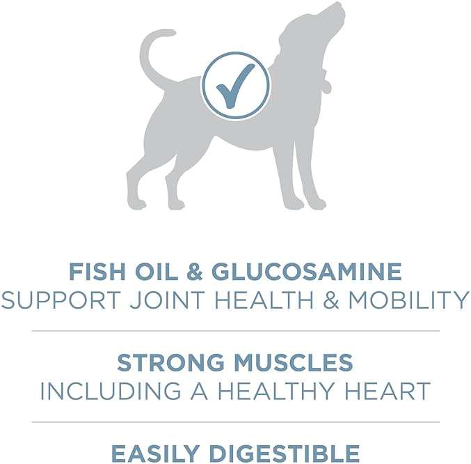Purina ONE Plus Joint Health Formula Natural With Added Vitamins, Minerals and Nutrients Dry Dog Food - 16.5 lb. Bag - Image 5