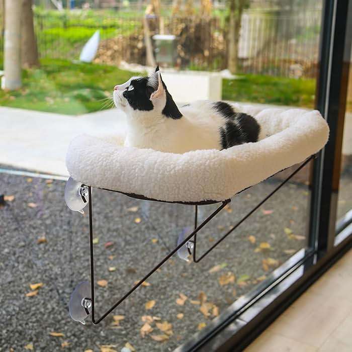 Zakkart Cat Window Perch - 100% Metal Supported from Below - Comes with Warm Spacious Pet Bed - Cat Window Hammock for Large Cats & Kittens - for Sunbathing, Napping & Overlooking (White) - Image 1