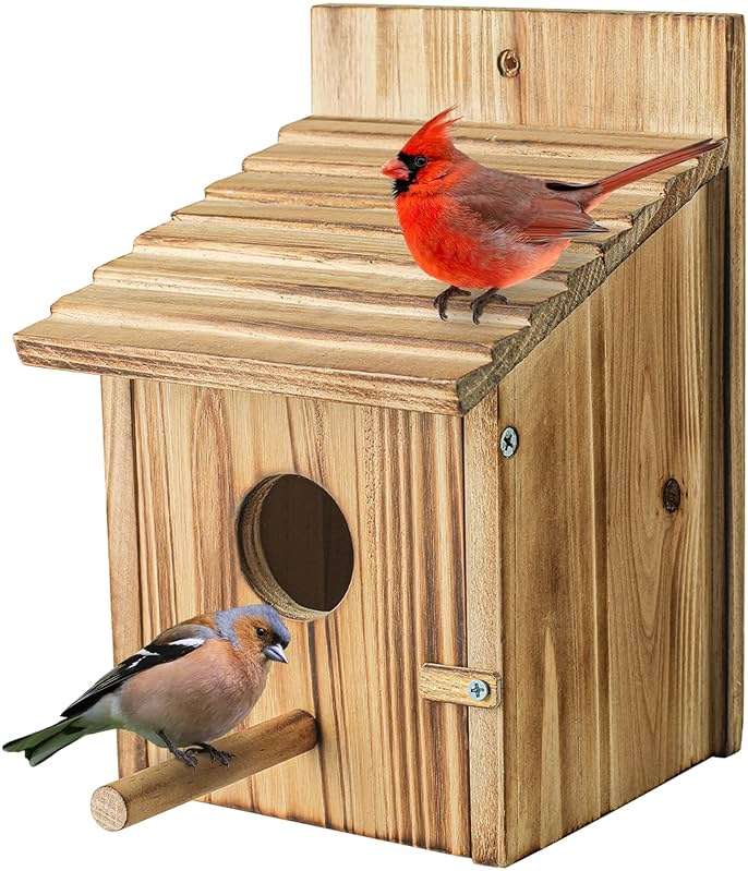 NATUREYLWL Wooden Bird House for Outside, Hanging Natural Wood Birdhouse with Perch, 1.57" Entrance & Side Clean-Out Door for Bluebirds, Wrens and Finches, Garden Decor - Image 1
