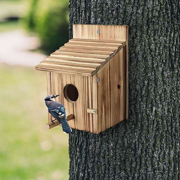 NATUREYLWL Wooden Bird House for Outside, Hanging Natural Wood Birdhouse with Perch, 1.57" Entrance & Side Clean-Out Door for Bluebirds, Wrens and Finches, Garden Decor - Image 2