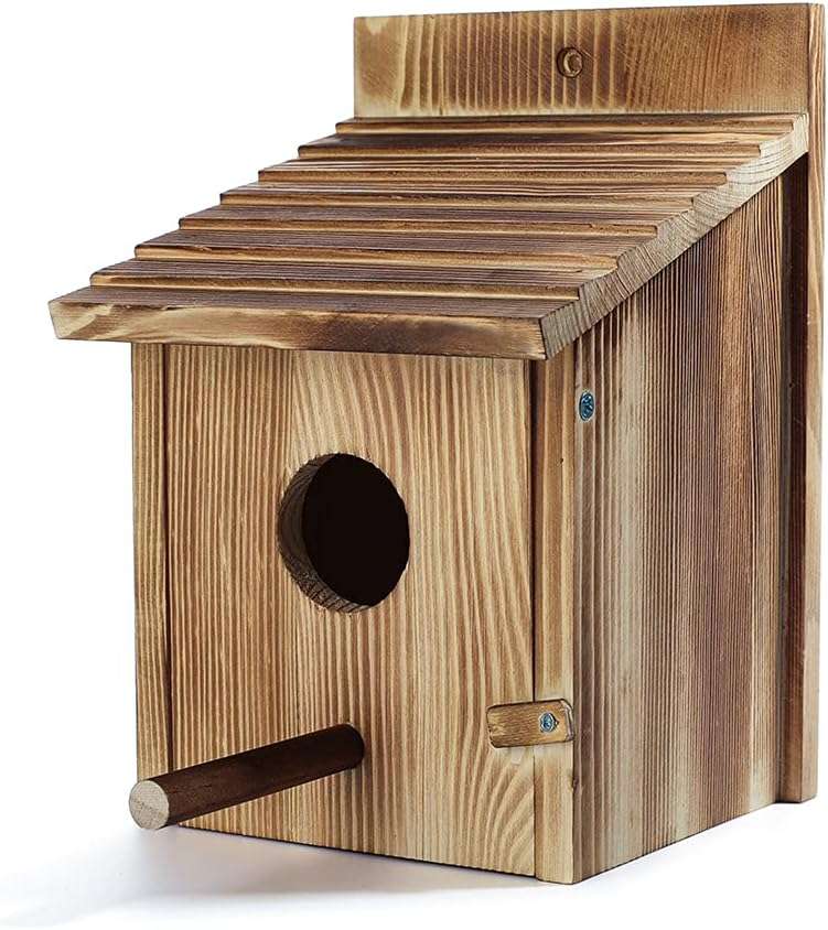 NATUREYLWL Wooden Bird House for Outside, Hanging Natural Wood Birdhouse with Perch, 1.57" Entrance & Side Clean-Out Door for Bluebirds, Wrens and Finches, Garden Decor - Image 7