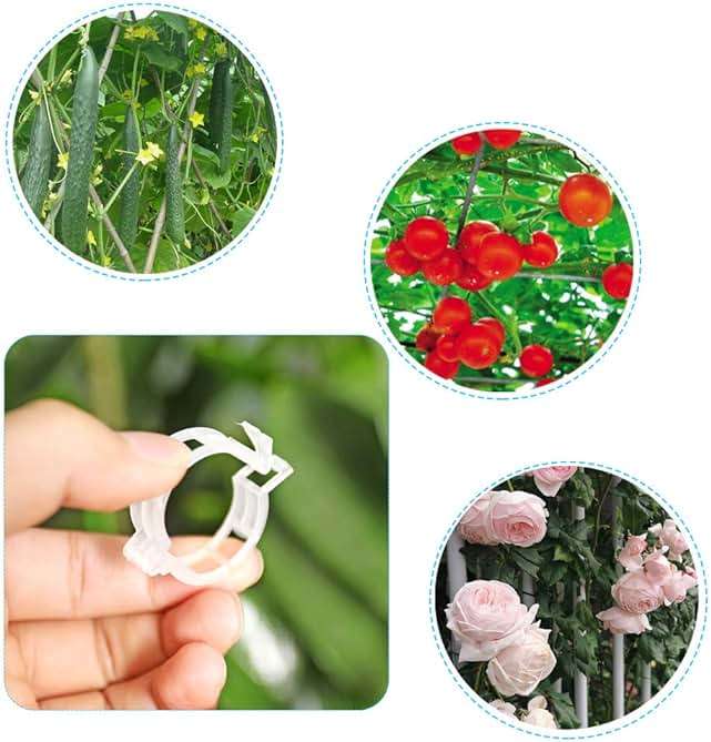 KAMILLEE Plant Support Clips, 100pcs Plastic Garden Plant Support Clips Tomato Clips,Trellis Clips for Flower Tomato Vine Vegetables (White) - Image 6