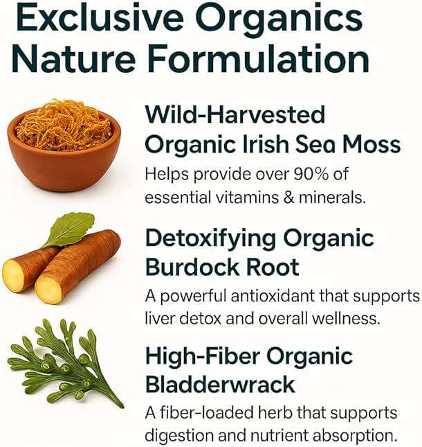 ORGANICS NATURE Irish Sea Moss Capsules 45 Servings | High Potency Seamoss Pills | Dr. Sebi Approved Sea Moss for Energy 90 Vegan Capsules - Image 3