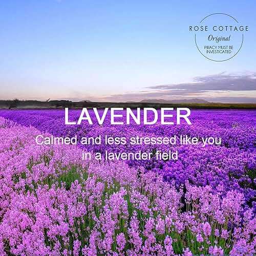 ROSE COTTAGE Large 12 Packs Lavender Hanging Closet Deodorizer Air Freshener Long Lasting Scented Sachets Smell Goods for House - Image 5