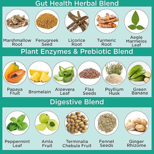 Organic Veda Marshmallow Turmeric MasTur Gut Health Supplement - Total Gut & Digestion Complex, Leaky Gut Repair, Bloating Relief for Women & Men - Papaya Digestive Enzymes, L-Glutamine, 120 Capsule - Image 3